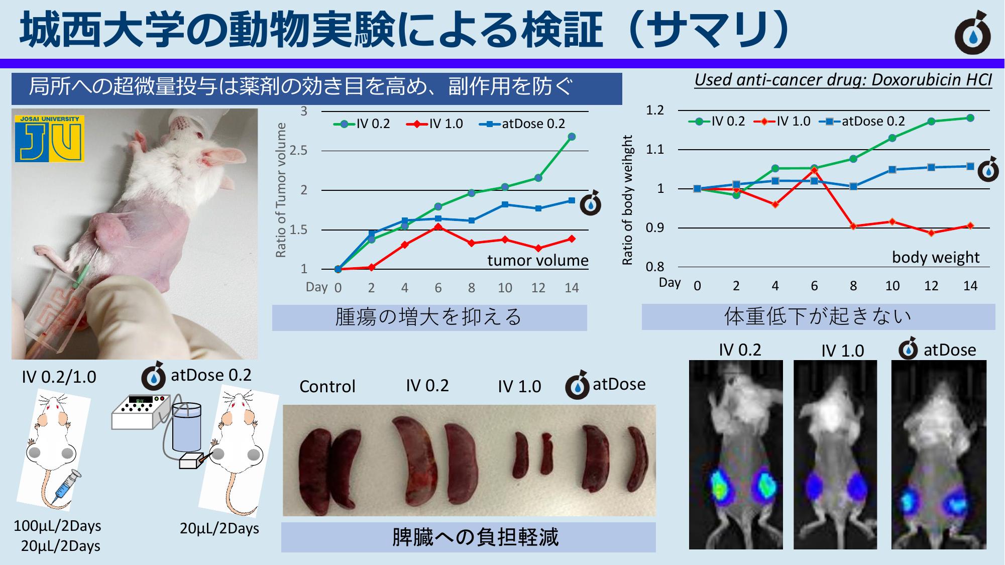 城西大学との共同研究